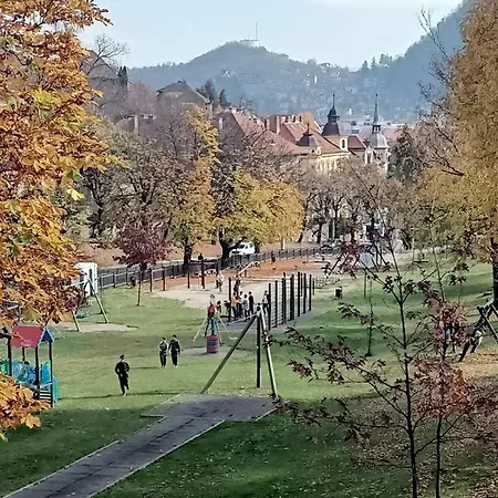 Vintage Gray Brasov