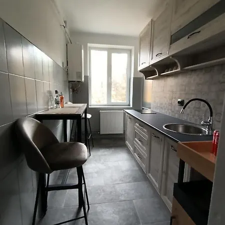 Vintage Gray * Brasov