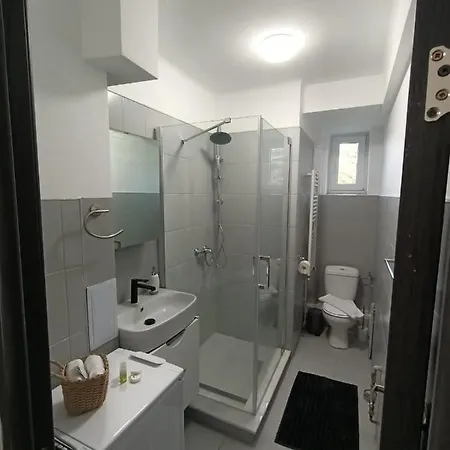 Vintage Gray Apartment Brasov
